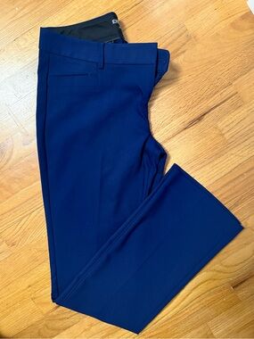 Express Columnist Pants